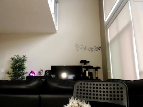 mysticxkitty  adult webcam show