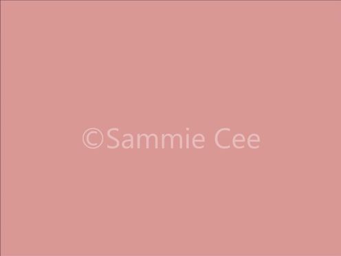 Sammie Cee Whore in